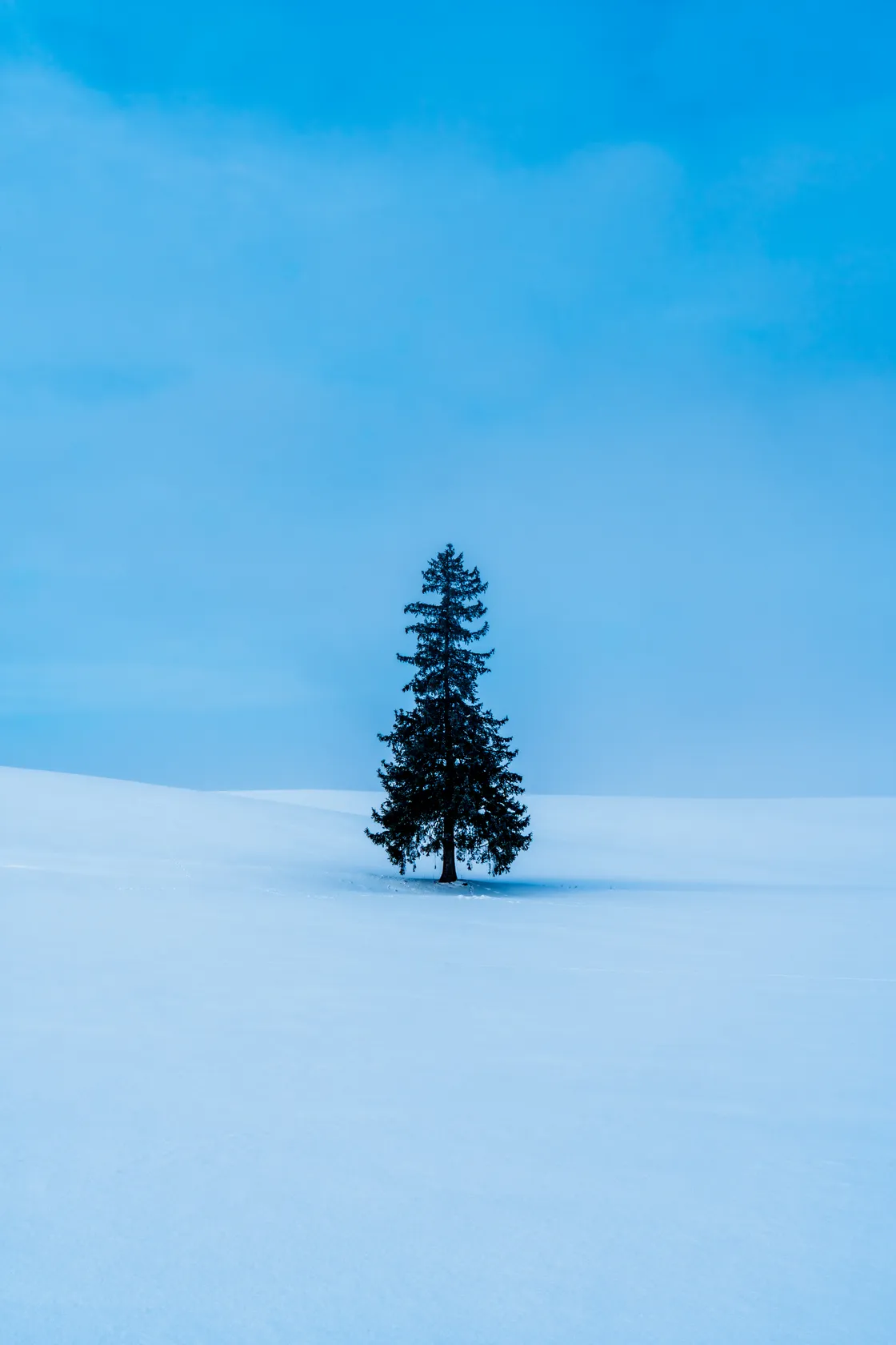 2026년 4주차의 사진(Photo of the Week 4, 2026)