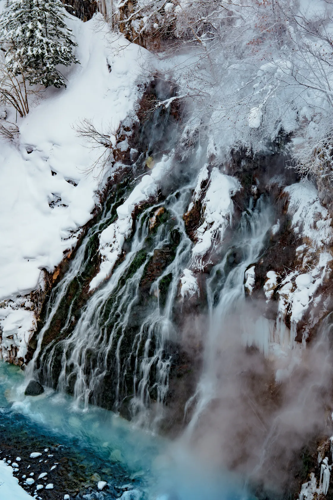 2026년 5주차의 사진(Photo of the Week 5, 2026)