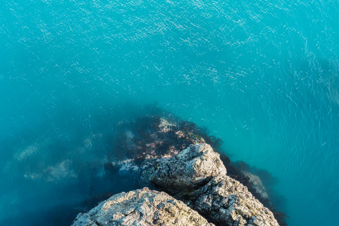 2026년 6주차의 사진(Photo of the Week 6, 2026)