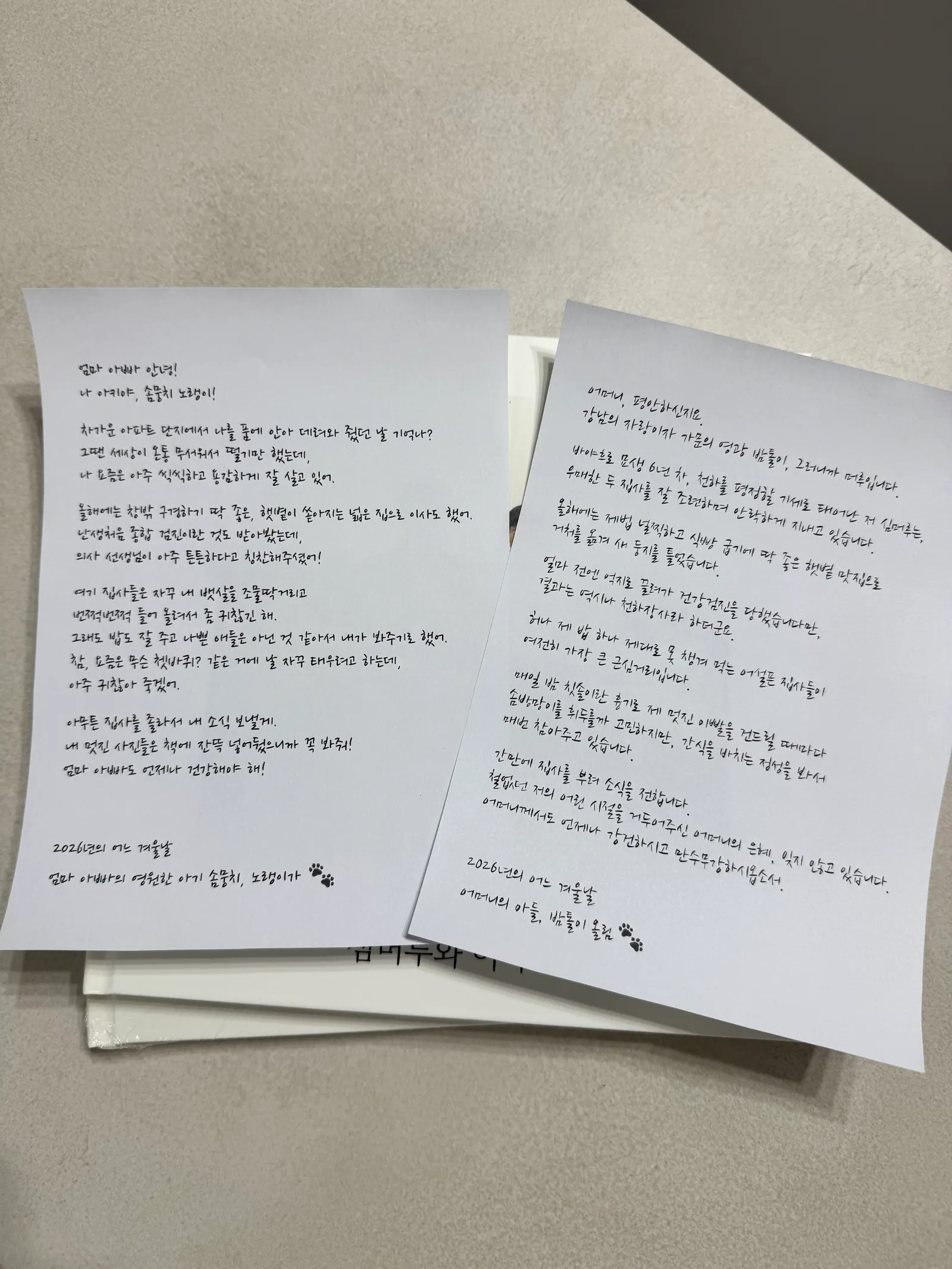 2026년 1월 회고(January 2026 Retrospective)