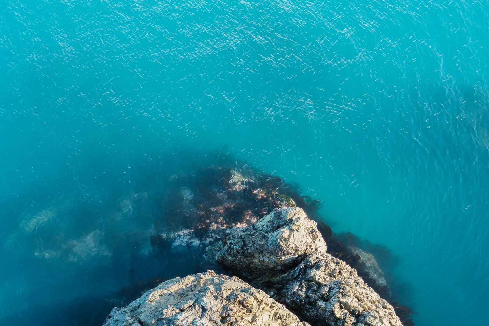 2026년 6주차의 사진(Photo of the Week 6, 2026)