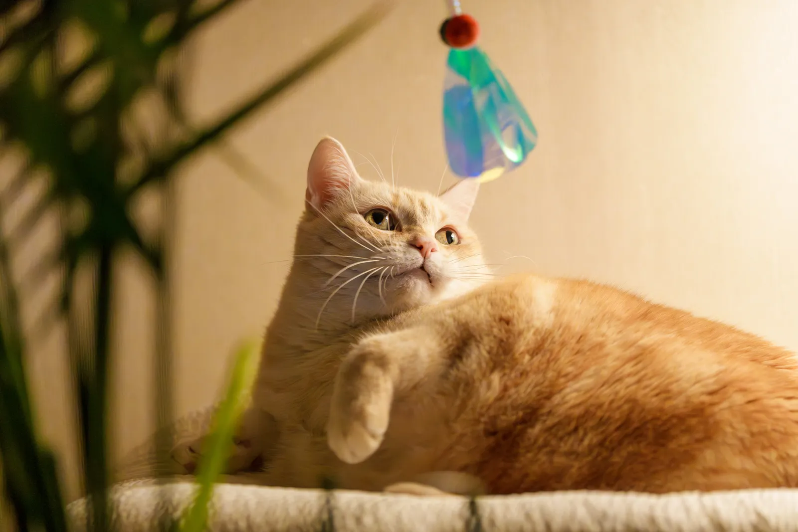 2026년 7주차의 사진(Photo of the Week 7, 2026)